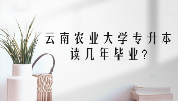 云南農(nóng)業(yè)大學(xué)專升本讀幾年畢業(yè)?