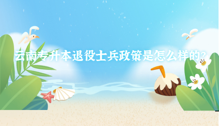 云南專升本退役士兵政策是怎么樣的？