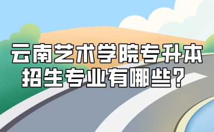 云南藝術學院專升本招生專業(yè)