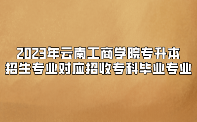 2023年云南工商學(xué)院專(zhuān)升本招生專(zhuān)業(yè)對(duì)應(yīng)招收專(zhuān)科畢業(yè)專(zhuān)業(yè)