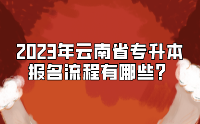 2023年云南省專升本報名流程有哪些？.png