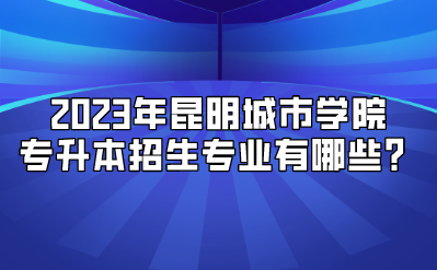 2023年昆明城市學院專升本招生專業(yè)