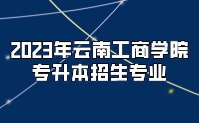 2023年云南工商學(xué)院專升本招生專業(yè)