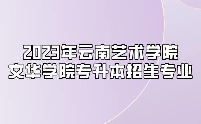 2023年云南藝術(shù)學(xué)院文華學(xué)院專升本招生專業(yè)