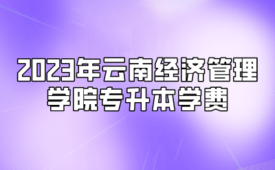 2023年云南經(jīng)濟(jì)管理學(xué)院專升本學(xué)費(fèi)