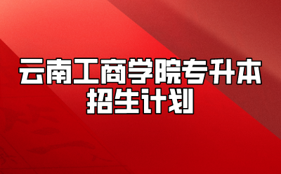 云南工商學(xué)院專升本招生計(jì)劃