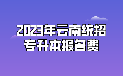 2023年云南統(tǒng)招專升本報名費(fèi)