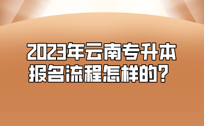 2023年云南專升本報(bào)名流程怎樣的？