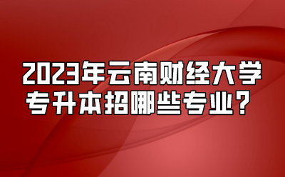 2023年云南財(cái)經(jīng)大學(xué)專升本招哪些專業(yè)？