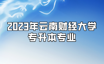 2023年云南財經(jīng)大學(xué)專升本專業(yè)