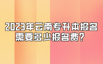 2023年云南專升本報(bào)名需要多少報(bào)名費(fèi)？