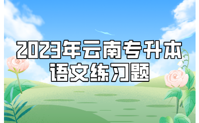 2023年云南專升本語文練習(xí)題