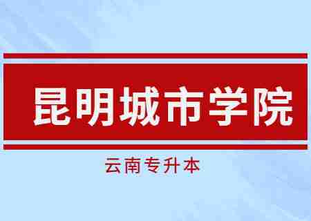 昆明城市學(xué)院2023年專(zhuān)升本錄取工作圓滿(mǎn)結(jié)束.jpg