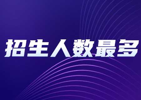 2024年云南專升本招生人數(shù)最多專業(yè)——漢語言文學(xué).jpg