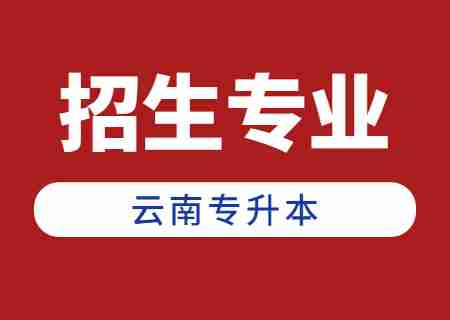 2024年云南專升本招生人數(shù)最多專業(yè)——會計學(xué).jpg