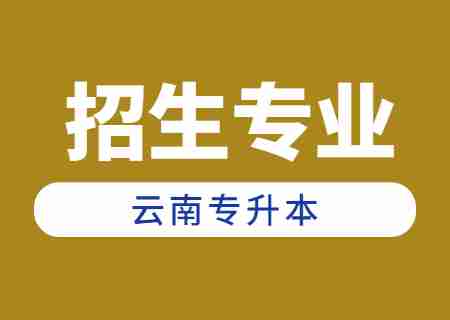 2024年云南專升本招生人數(shù)最多專業(yè)——計(jì)算機(jī)科學(xué)與技術(shù).jpg