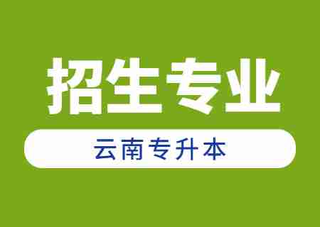 2024年云南專升本招生人數(shù)最多專業(yè)——財務(wù)管理.jpg