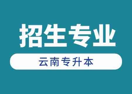 2024年云南專升本招生人數(shù)最多專業(yè)——土木工程.jpg