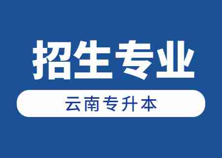2024年云南專升本招生人數(shù)最多專業(yè)——英語.jpg