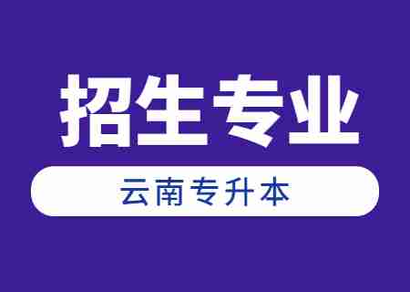 2024年云南專升本招生人數(shù)最多專業(yè)——工商管理.jpg
