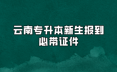 云南專升本新生報(bào)到必帶證件