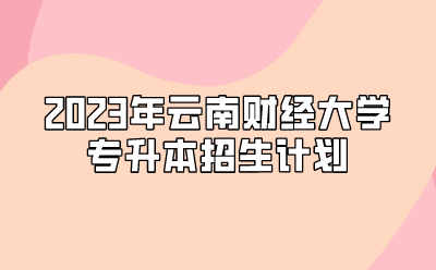 2023年云南財經(jīng)大學(xué)專升本招生計劃