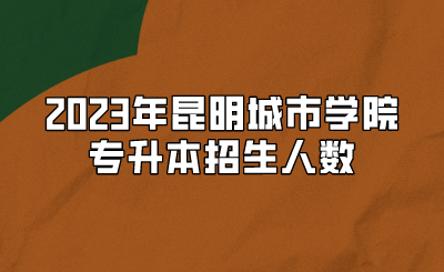 2023年昆明城市學(xué)院專(zhuān)升本招生人數(shù)