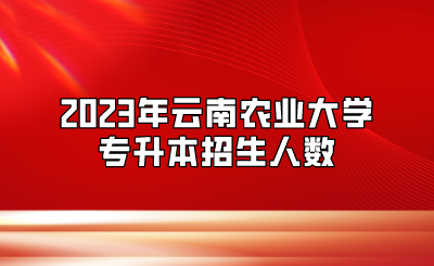 2023年云南農(nóng)業(yè)大學(xué)專升本招生人數(shù)