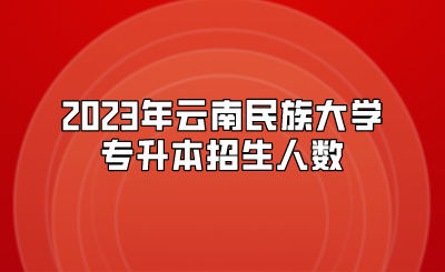 2023年云南民族大學(xué)專升本招生人數(shù)