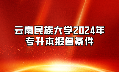 云南民族大學(xué)2024年專升本報名條件