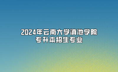 2024年云南大學(xué)滇池學(xué)院專升本招生專業(yè)