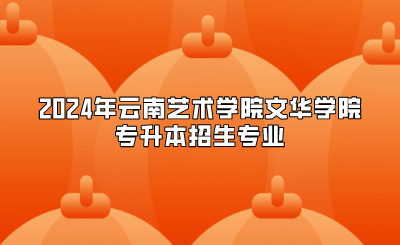 2024年云南藝術(shù)學(xué)院文華學(xué)院專升本招生專業(yè)