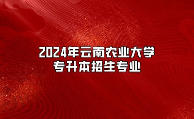2024年云南農(nóng)業(yè)大學(xué)專升本招生專業(yè)
