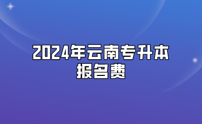 2024年云南專升本報(bào)名費(fèi)