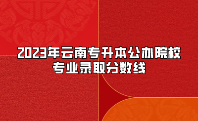 2023年云南專升本公辦院校專業(yè)錄取分數(shù)線