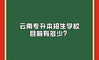 云南專升本招生學(xué)校目前有多少？