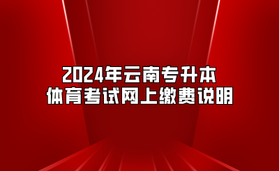2024年云南專升本體育考試網(wǎng)上繳費說明