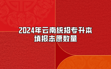 2024年云南統(tǒng)招專(zhuān)升本填報(bào)志愿數(shù)量
