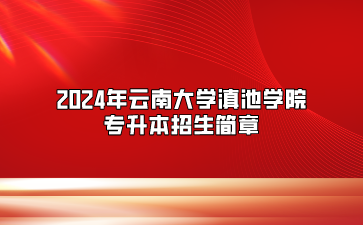 2024年云南大學(xué)滇池學(xué)院專升本招生簡(jiǎn)章