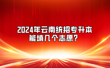 2024年云南統(tǒng)招專升本能填幾個(gè)志愿？