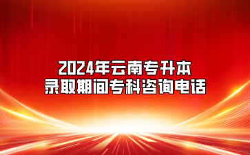 2024年云南專升本錄取期間?？谱稍冸娫? style=