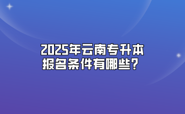 2025年云南專升本報(bào)名條件有哪些？