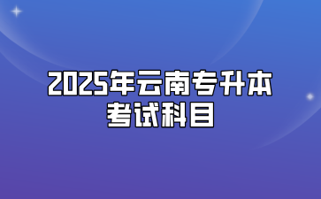 2025年云南專升本考試科目有哪些？滿分是多少分？